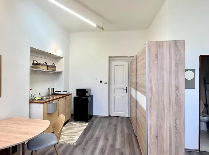 1 Bedroom Studio Close To Palmovka