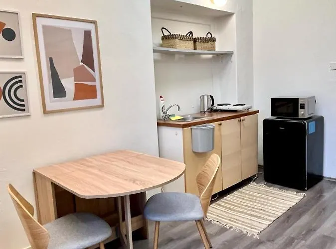 1 Bedroom Studio Close To Palmovka